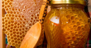 تمييز عسل النحل الطبيعى من المغشوش