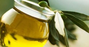 10 فوائد مدهشة زيت الزيتون أهمها لتساقط الشعر وخفض الكوليسترول