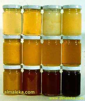 يتراوح لون العسل من الأبيض الفاتح إلى الكهرمانى
